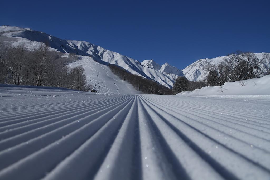Hotel Oak Forest Hakuba Eksteriør billede